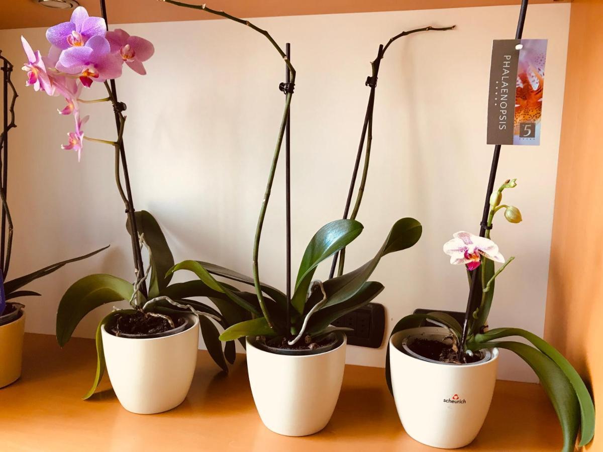 Apartamento Casa Beraldini