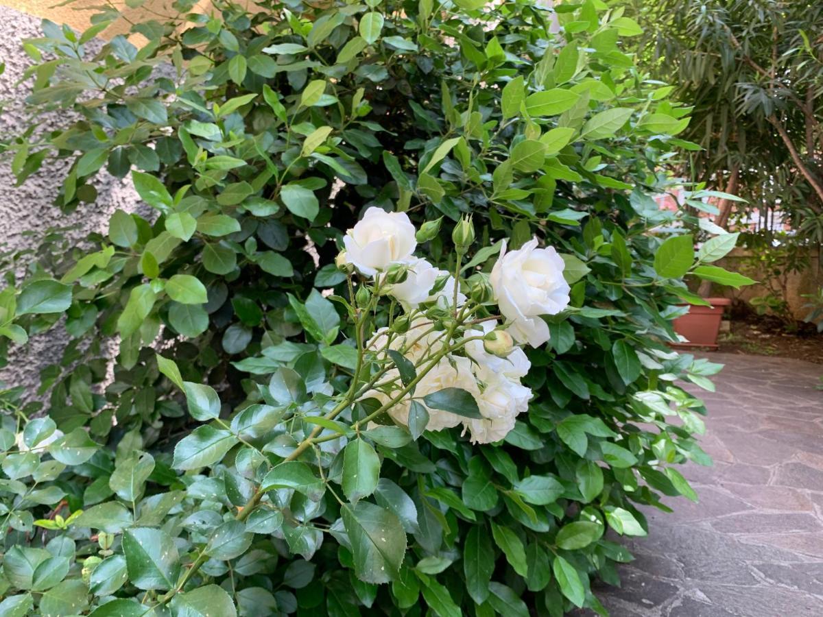 Apartamento Casa Beraldini Verona